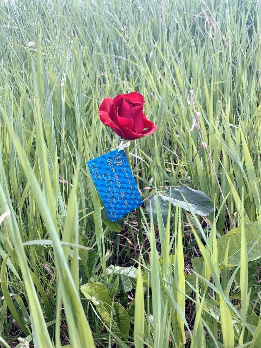 A rose attached to a truck line business card