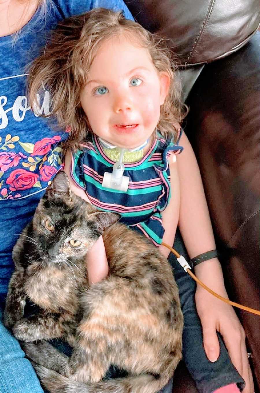 A little girl holds a cat and sits on her mother's lap
