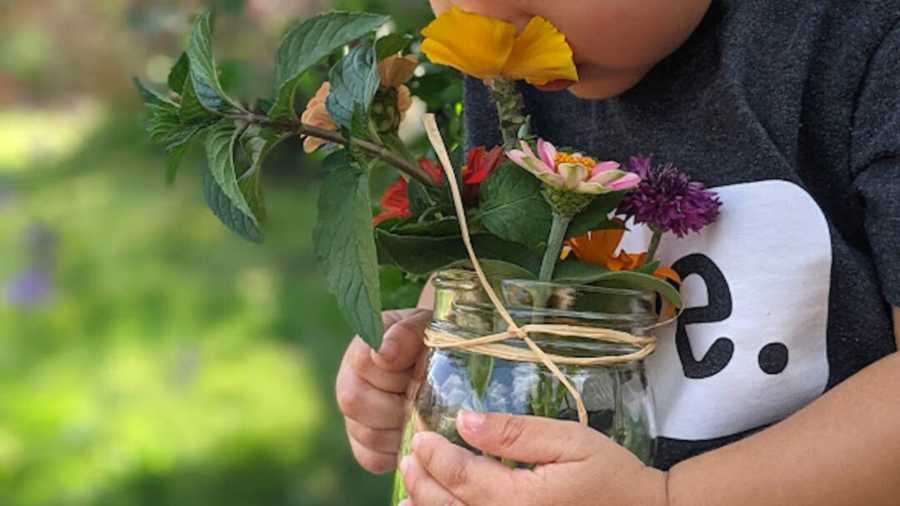 little boy sniffing colorful flowers