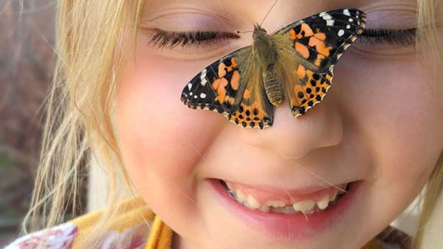 little girl with butterfly on nose