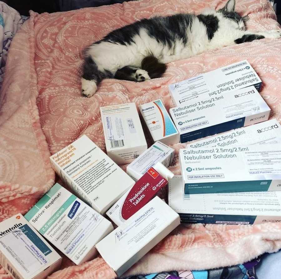 cat next to prescriptions