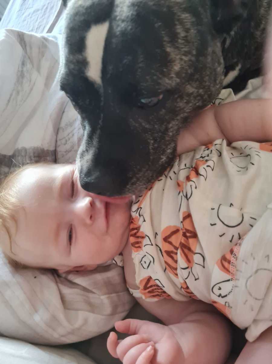 baby and the dog