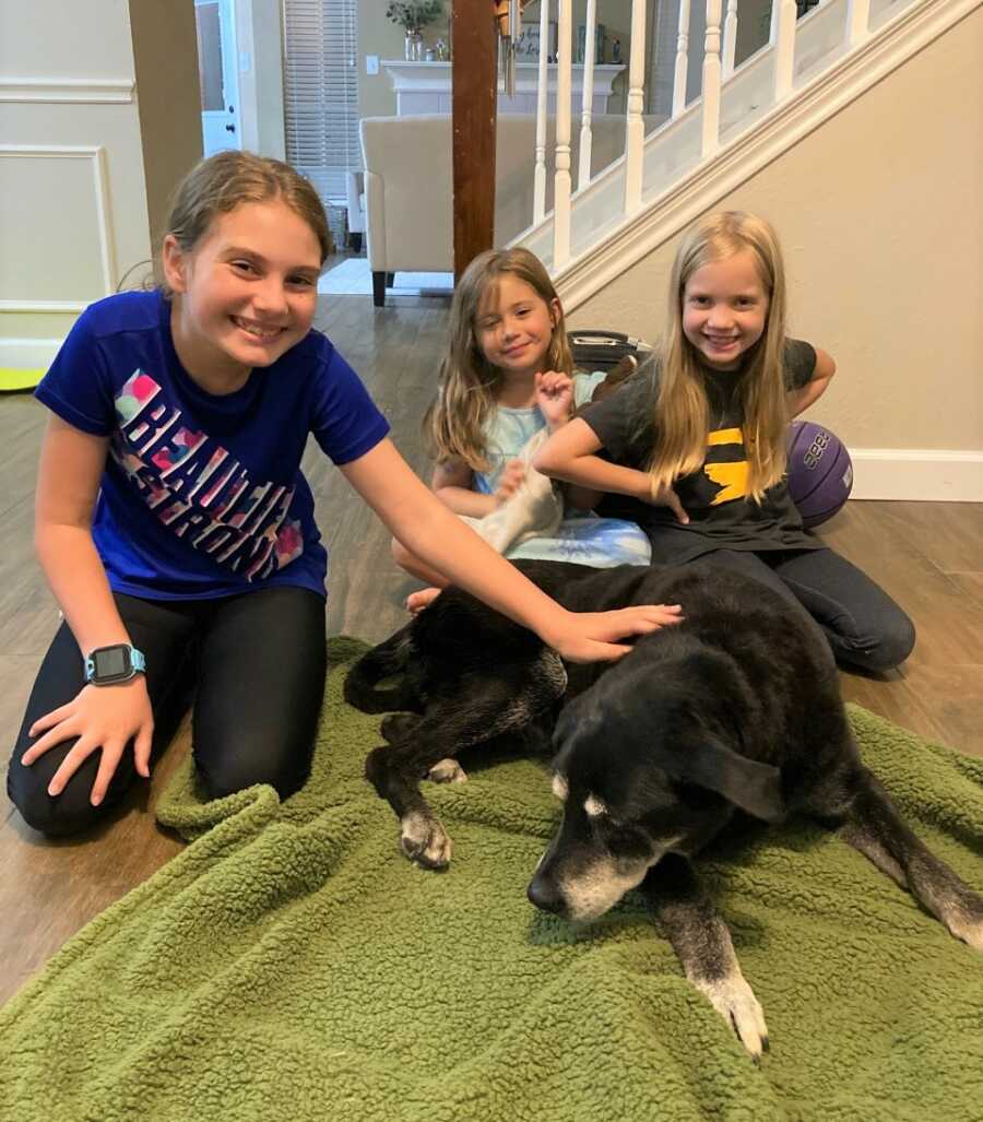 Elderly black lab mix, Zoey, lays on green blanket, surrounded by happy family members.