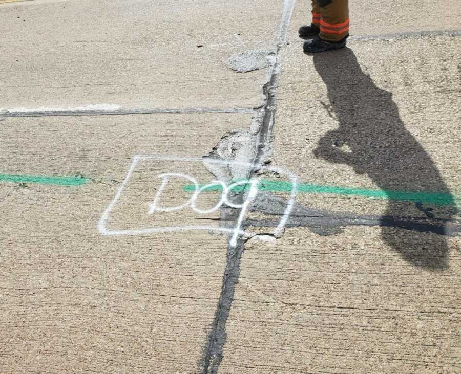 Spray painted "dog" on street marks the location of a lost dog stuck in the storm drain.