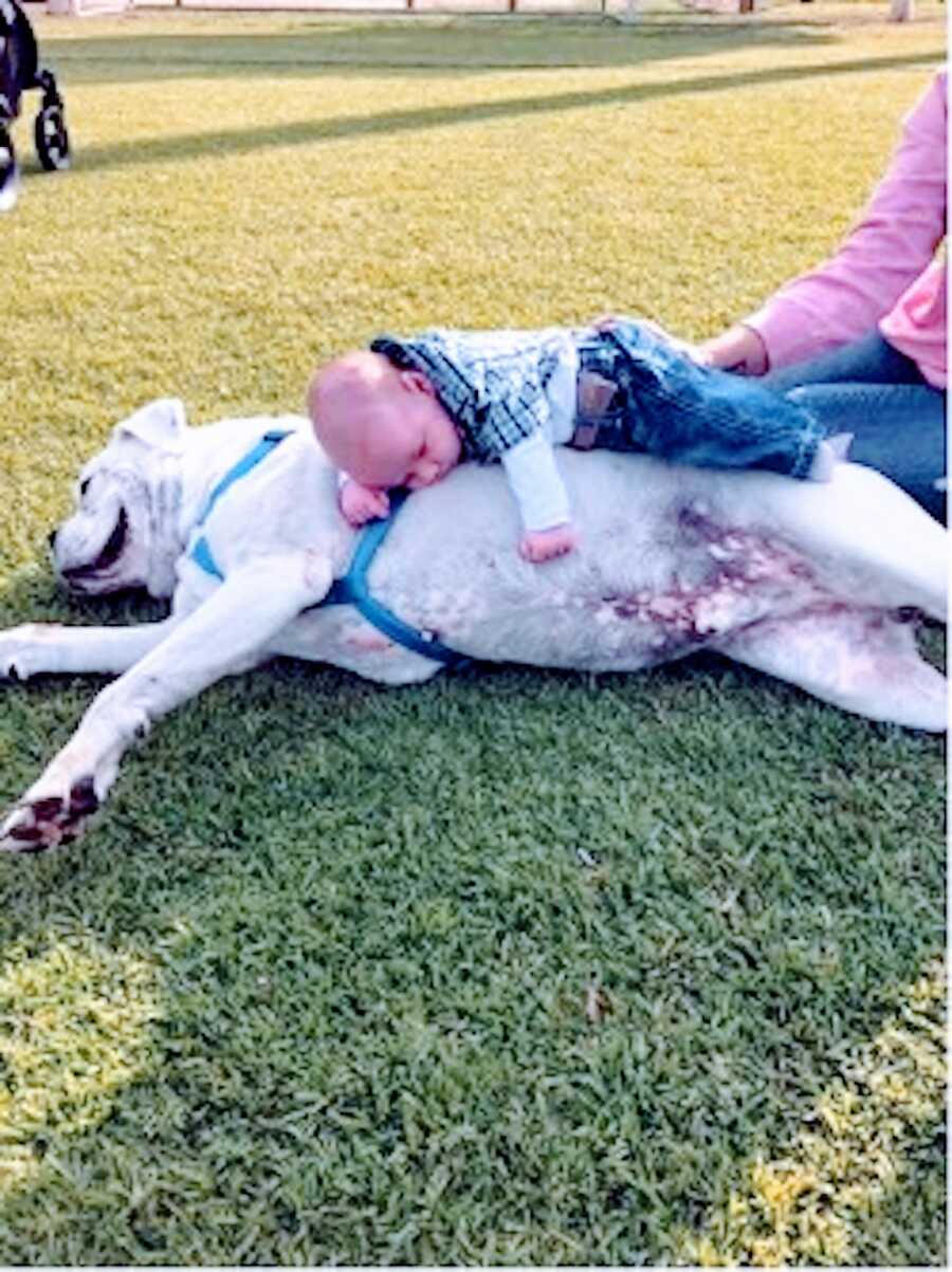 A baby boy lies on a support dog