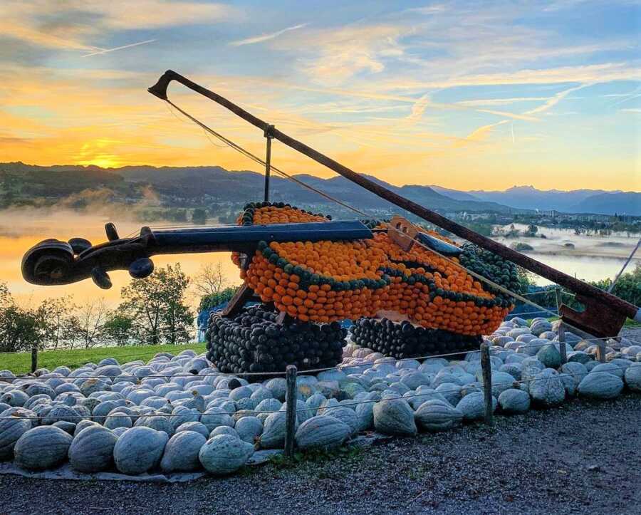 Giant violin creation at Jucker Farm's pumpkin exhibition. 