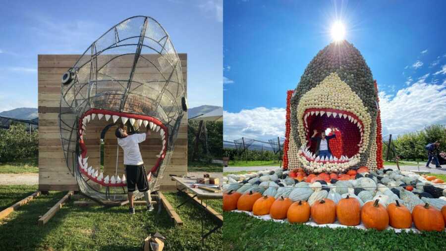 Shark frame and completed pumpkin shark creation. 