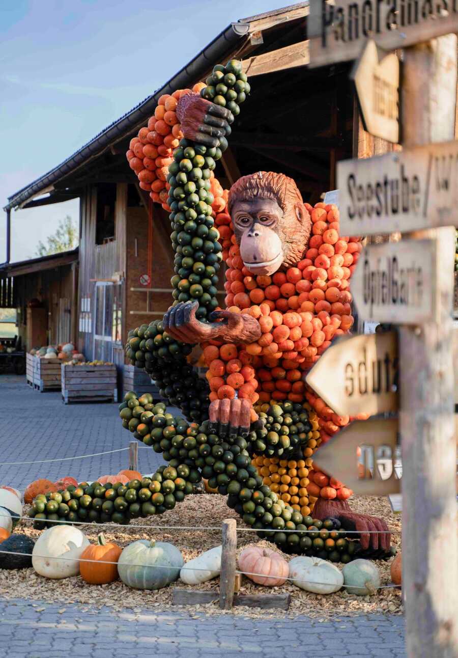 Giant monkey creation at Jucker Farm's pumpkin exhibition. 