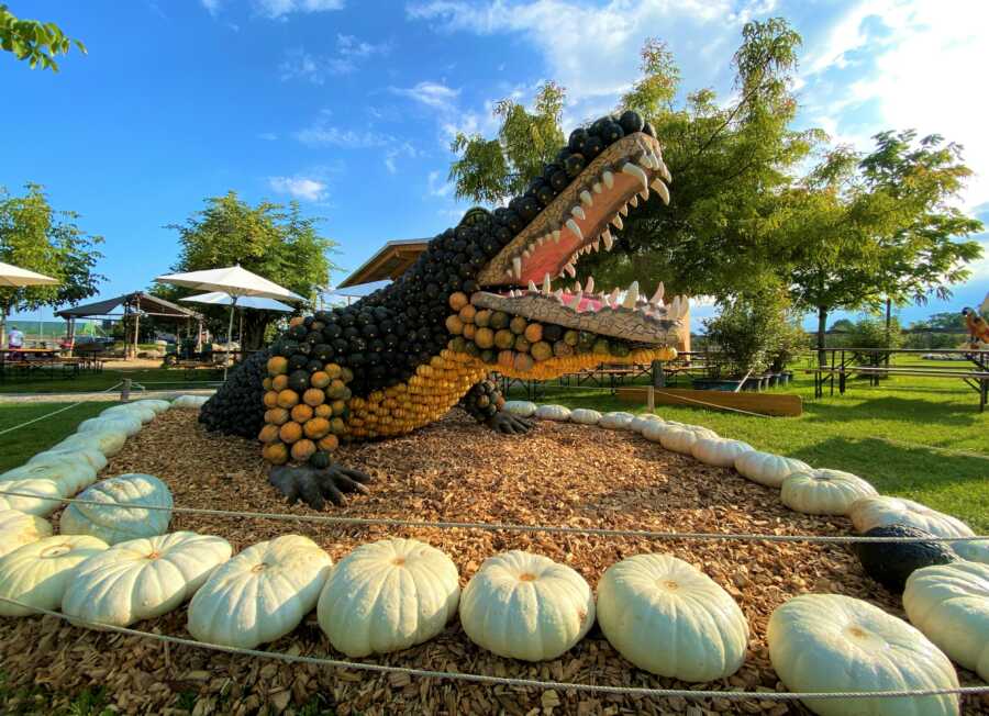 Giant crocodile at Jucker Farm's pumpkin exhibition. 