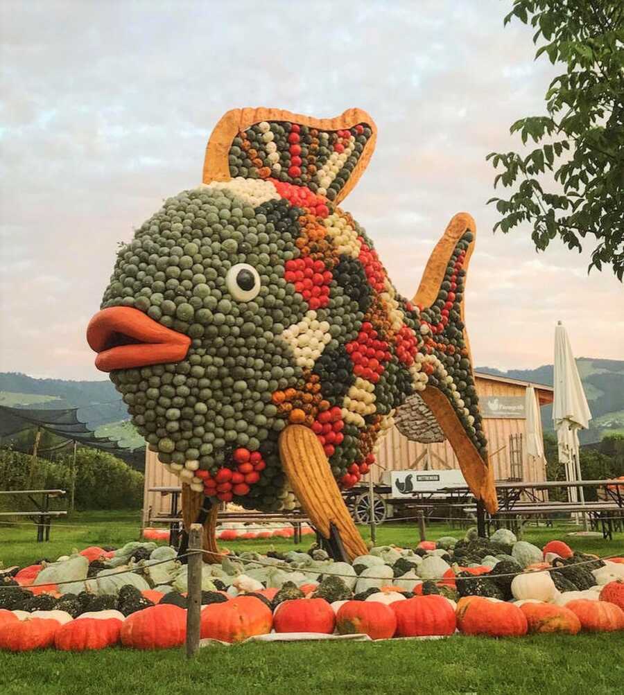 Giant fish creation at Jucker Farm's pumpkin exhibition. 