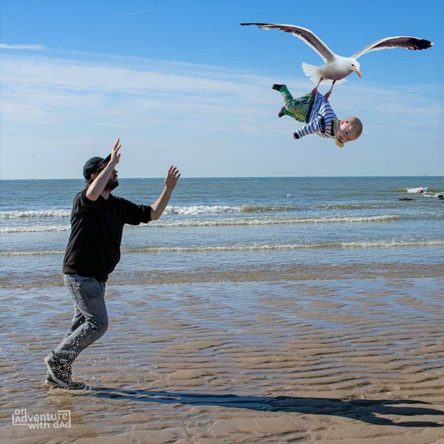 Dad runs after baby who was snatched up by a seagull at the beach.