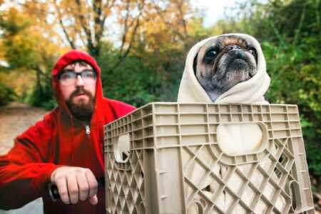 Man and his pug's awesome ET Halloween costume. 