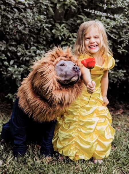 Little girl and her dog's adorable Beauty and the Beast costume. 