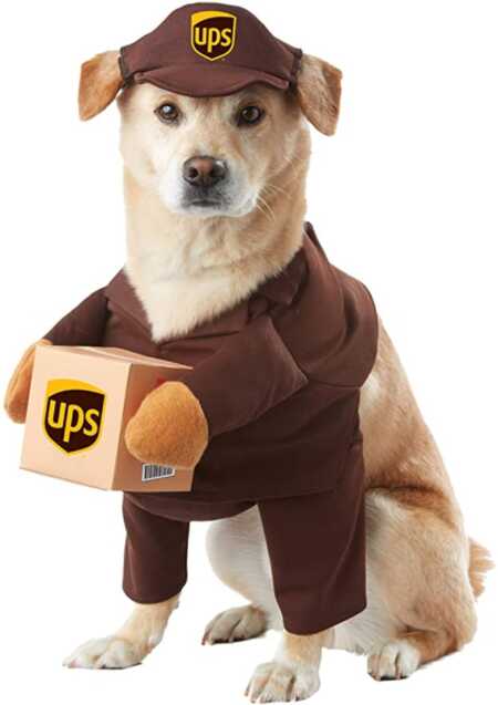 Brown UPS carrier pet costume for Halloween. 