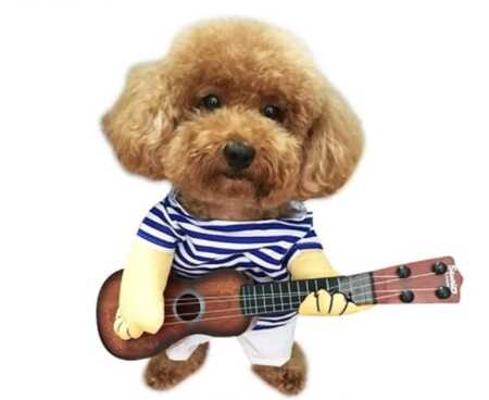 Funny guitar playing pet costume with plush arms for Halloween. 