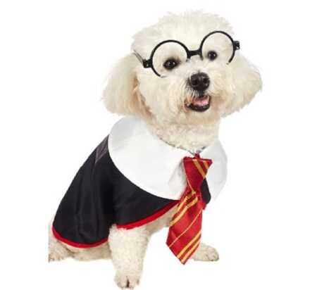 Harry Potter pet costume with glasses for Halloween. 