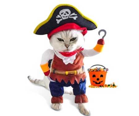 Funny pirate pet costume with plush arms for Halloween.