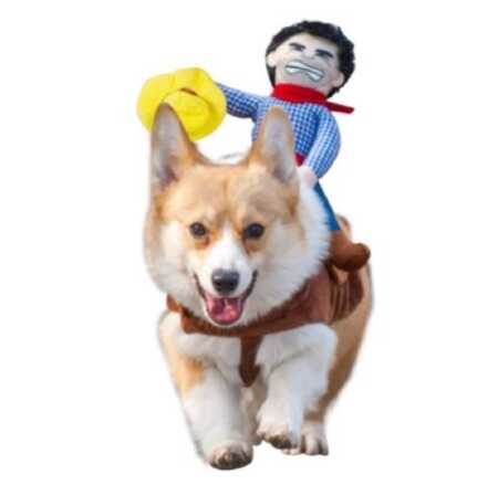 Plush cowboy rider pet costume for Halloween. 