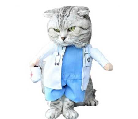 Funny doctor pet costume with plush arms for Halloween. 