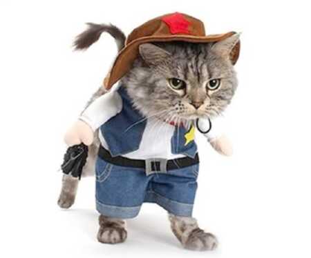 Funny cowboy pet costume for Halloween. 