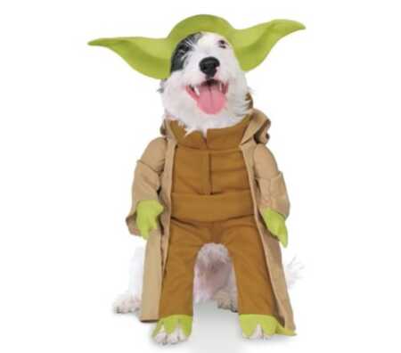 Star Wars Yoda pet costume with plush arms for Halloween. 