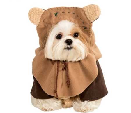 Star Wars Ewok pet costume for Halloween. 