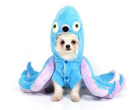 Blue octopus pet costume for Halloween. 