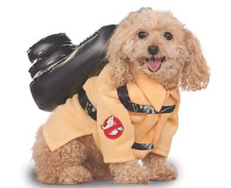 Ghostbusters jumpsuit pet costume for Halloween. 