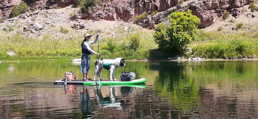 和他们的狗麦琪在湖上划桨冲浪。
