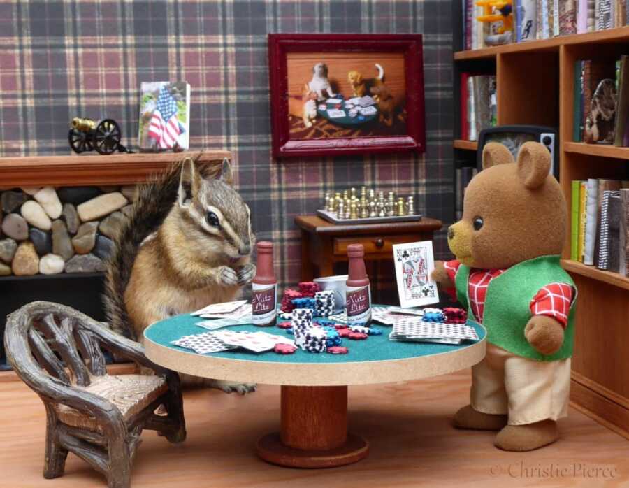 chipmunk playing poker