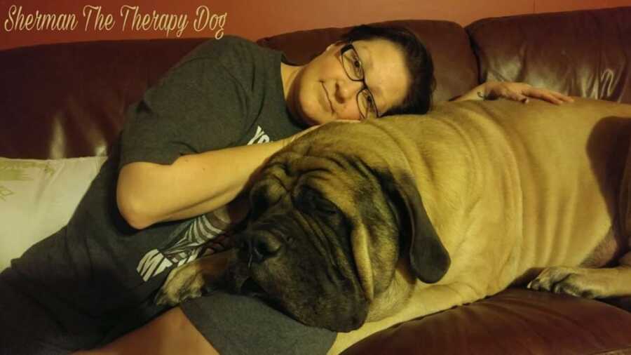 huge dog who is a therapy dog for woman with cancer