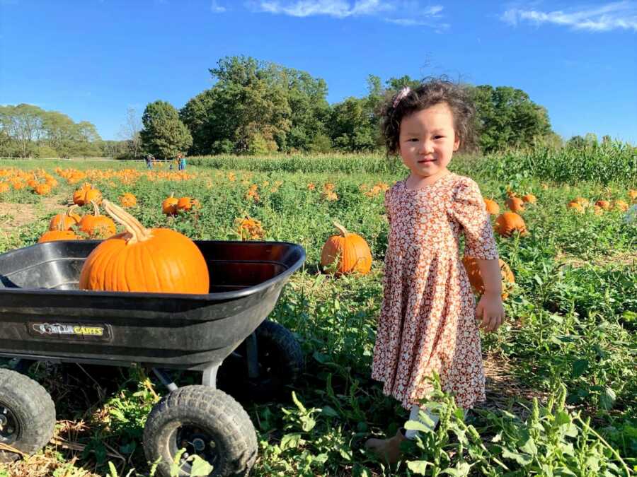 Everly picks a pumpkin from the pumpkin patch. 
