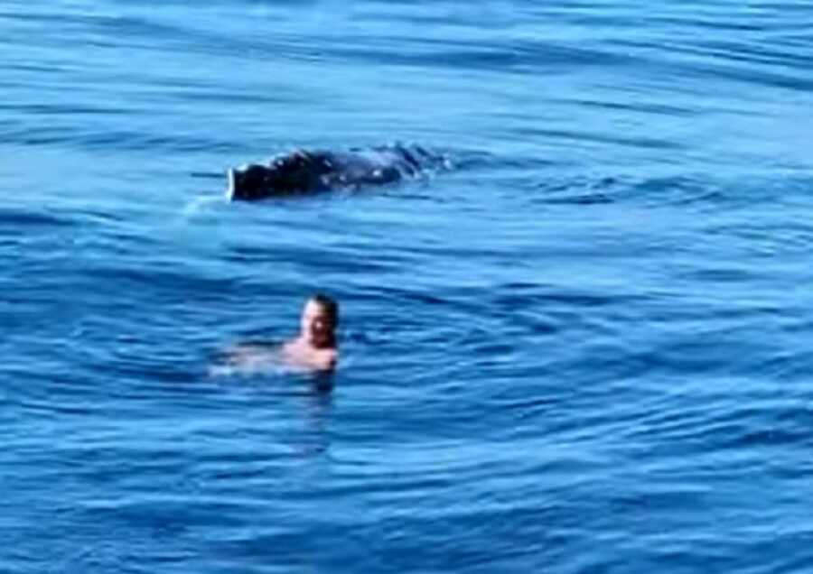 man in bright blue ocean swimming with a whale that was trapped