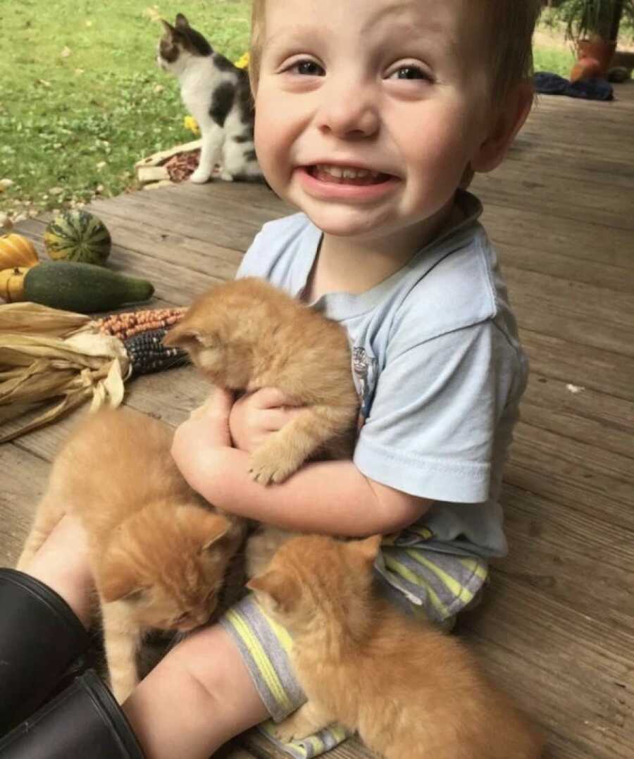 three small orange cats with a little boy who is smiling