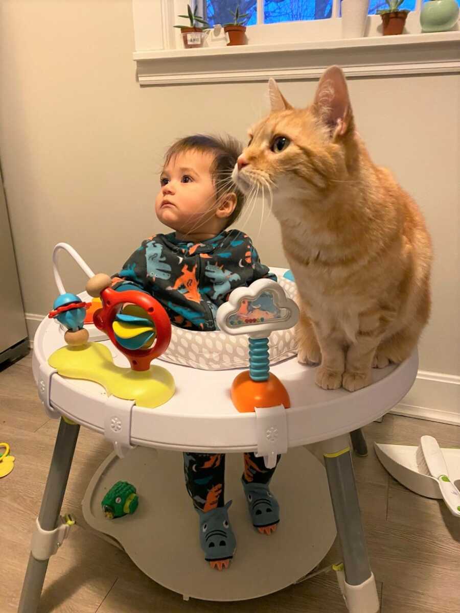 The family cat sits on Sami's standing floor seat.