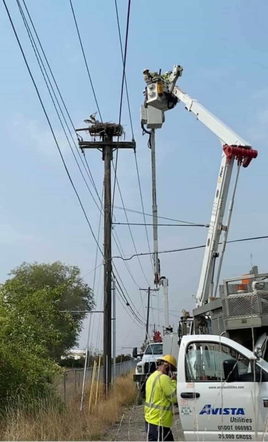 crew going upon lift to rescue osprey