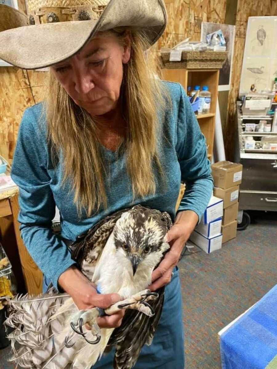 the woman holding the osprey while he is repaired