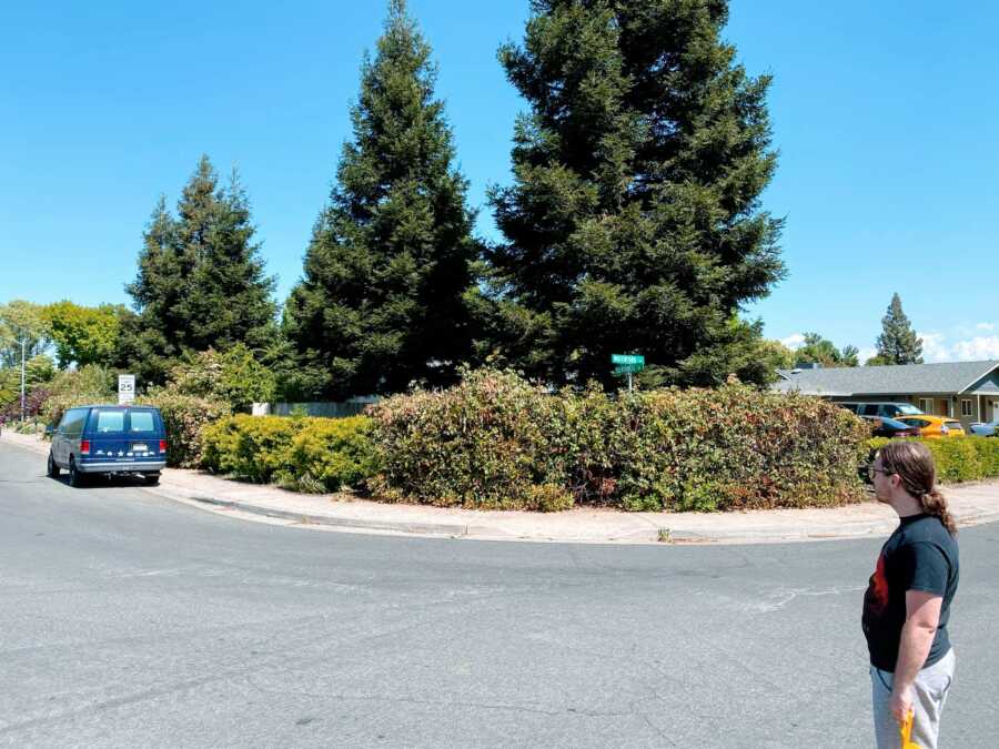 Woman take a photo of her trimmed hedges