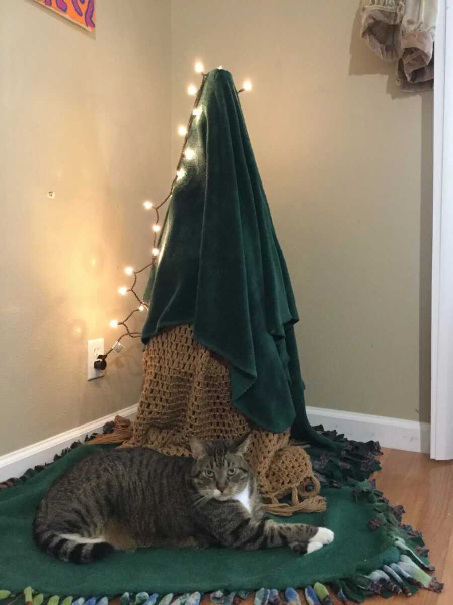 tree covered to protect from pets