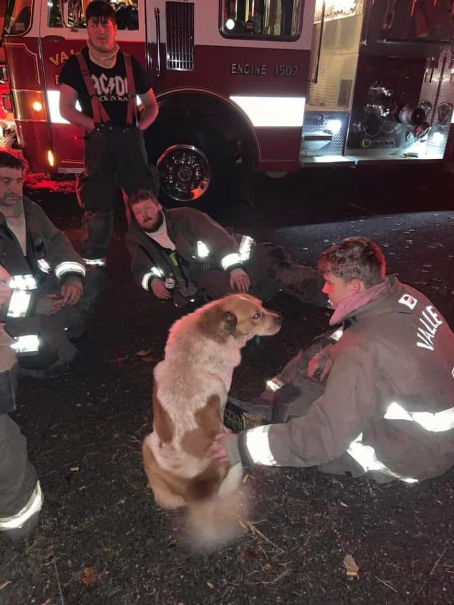 dog that rescued family from a fire with the firefighters who helped put it out
