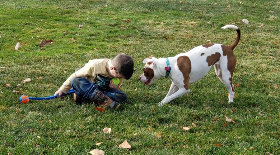 Young Jayden plays fetch with his dog. 