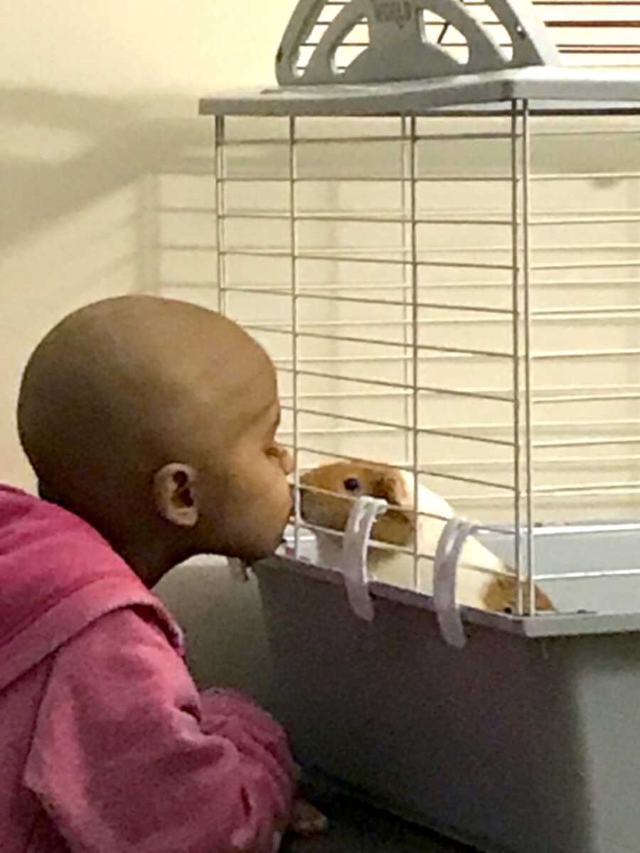 young girl with childhood cancer gives guinea pig a kiss through its cage