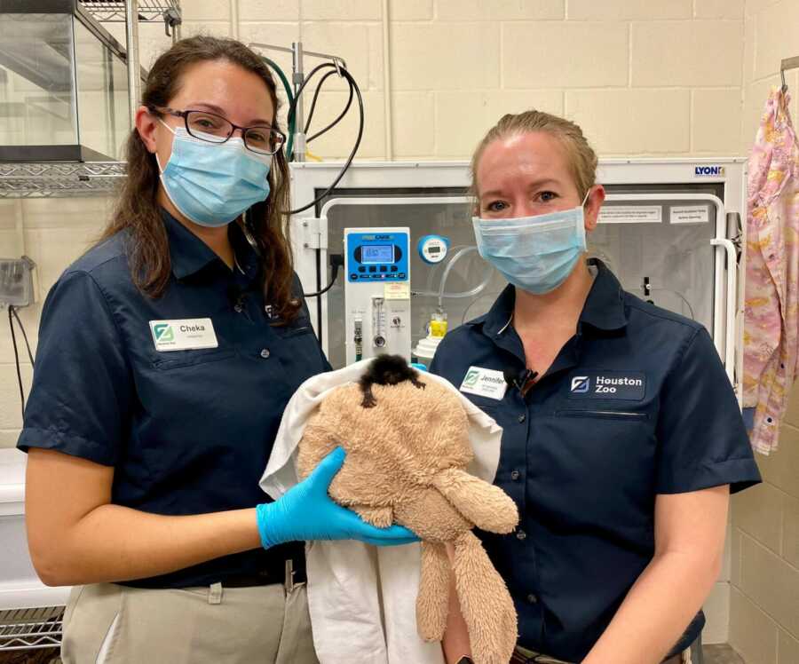 two zookeepers holding the monkey they found