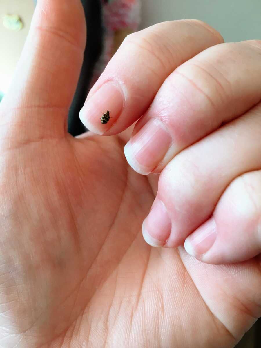 Young woman takes a photo of a baby ladybug crawling on her fingernail