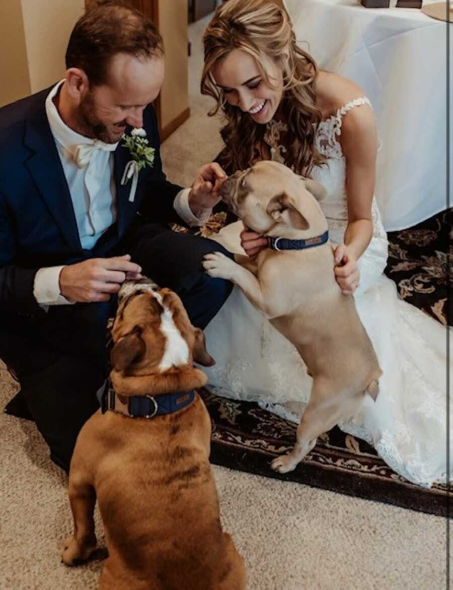 Newlyweds bend down to give their bulldogs some love while in their wedding attire
