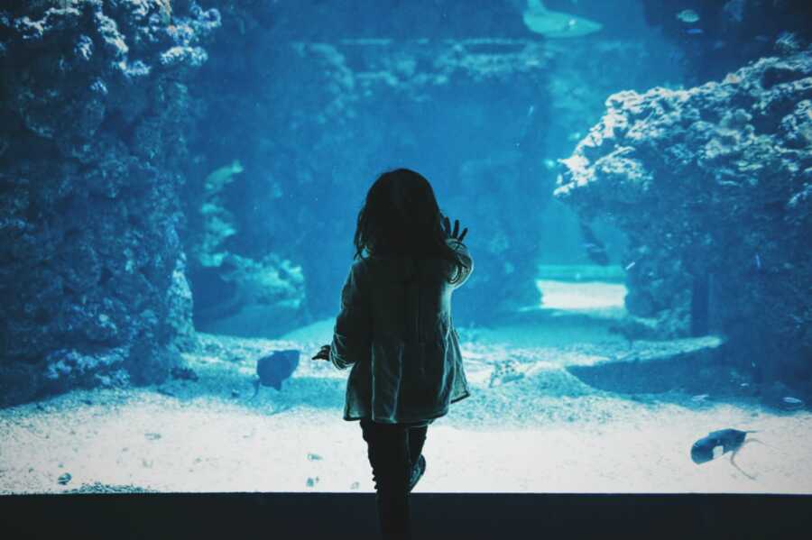 little girl looking at the fish