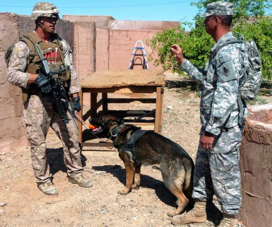 Marine works to train his K-9 partner with another Marine trainer