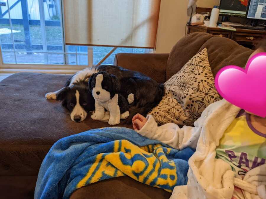 Foster girl sits on couch with border collie and stuffed animal.