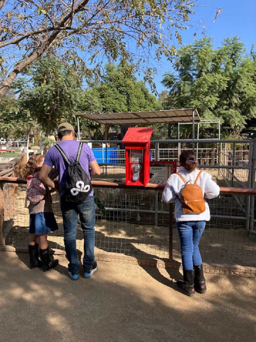 Foster dad on adventure with foster girls at petting zoo.