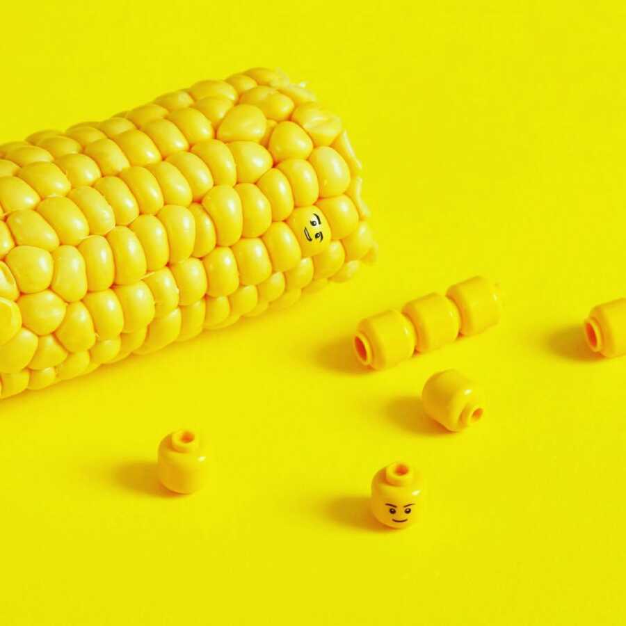 corn and lego heads photographed to make the corn look like lego figure heads